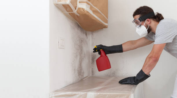 Professional Black Mold Remediation technician working in Hastings, PA